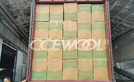 Dominican customer - CCEWOOL ceramic fiber blanket insulation