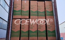 Singapore customer - CCEWOOL ceramic insulation blanket